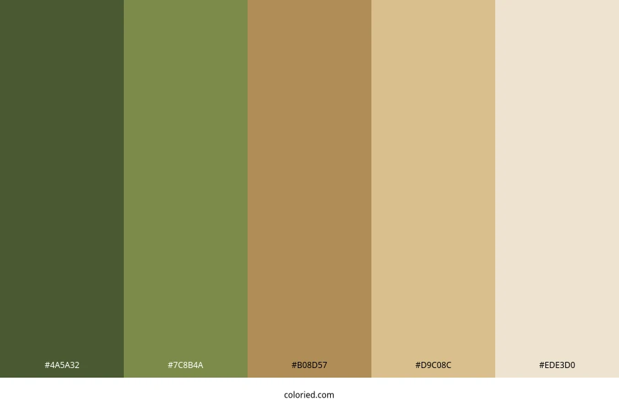 Acacia Color Palette