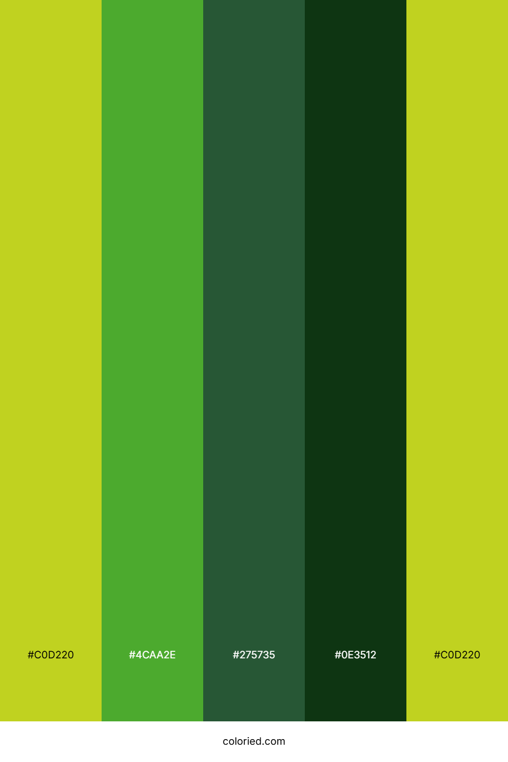 Acid Green And Forest Color Palette