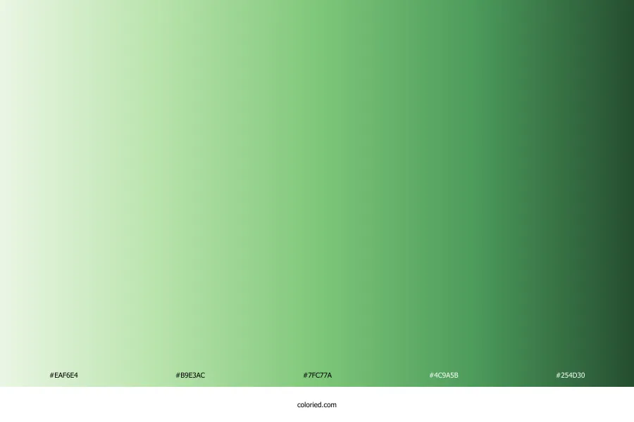 Aesthetic Green Gradient