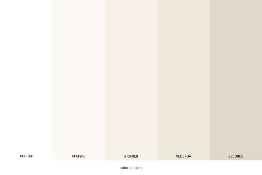 Aesthetic White Color Palette