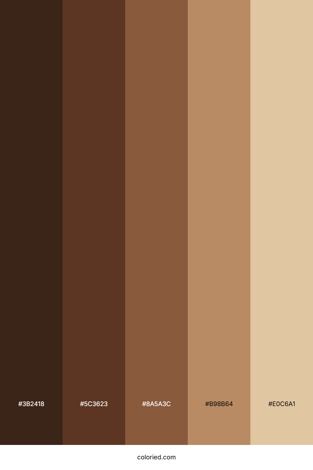 African American Skin Color Palette