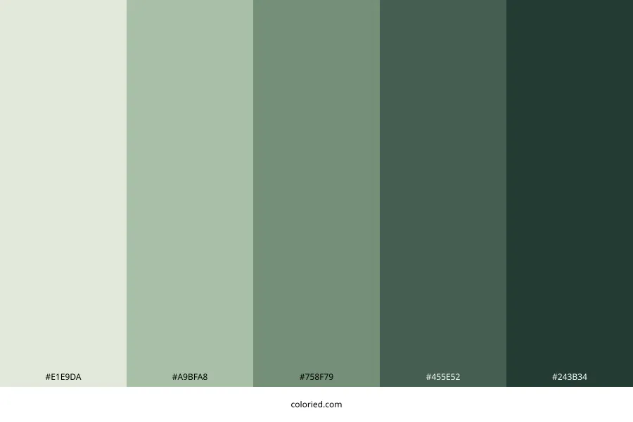 Algae Green Color Palette