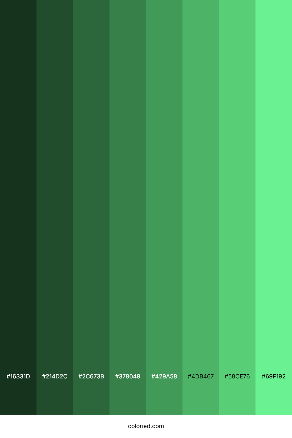 Algae Green Color Shades