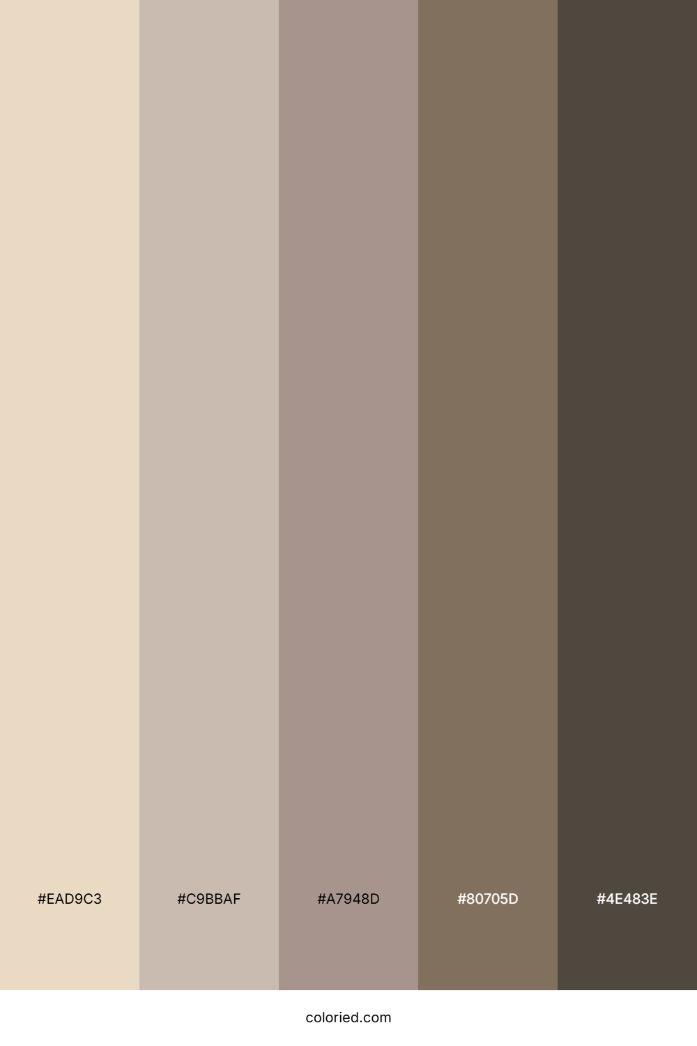 Almond and Taupe Color Palette