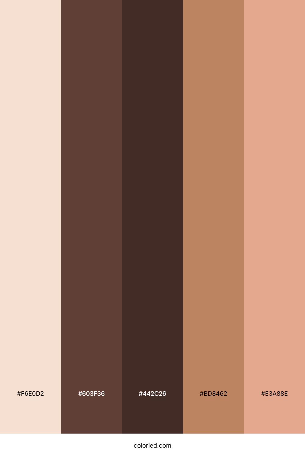 Almond Mocha Drift Palette