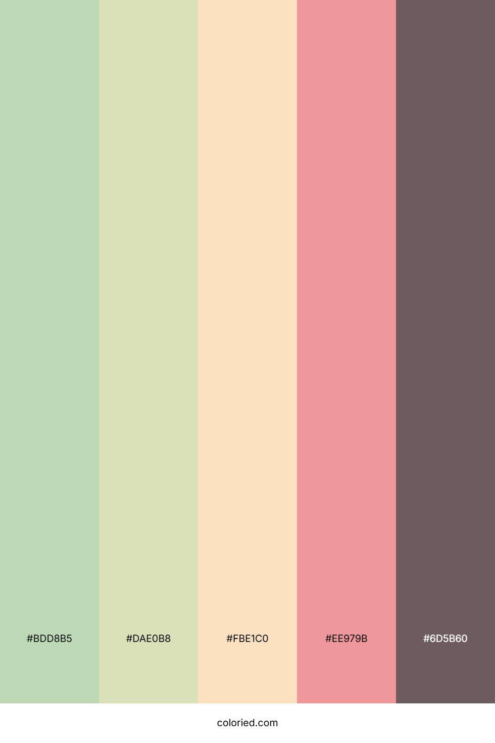 Almond Rose Biscuit Color Palette