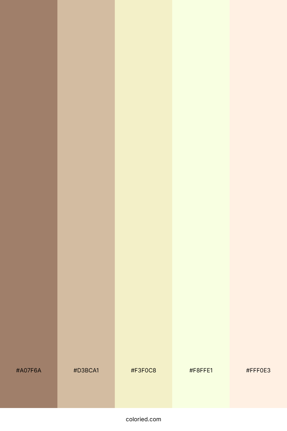 Almond Sand Dune Color Palette