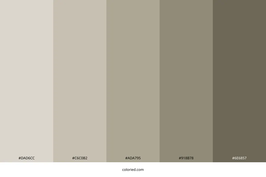 Amazing Gray Color Palette