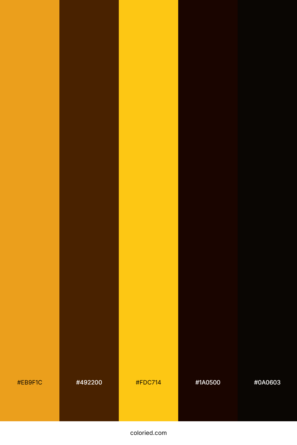 Amber and Espresso Color Palette