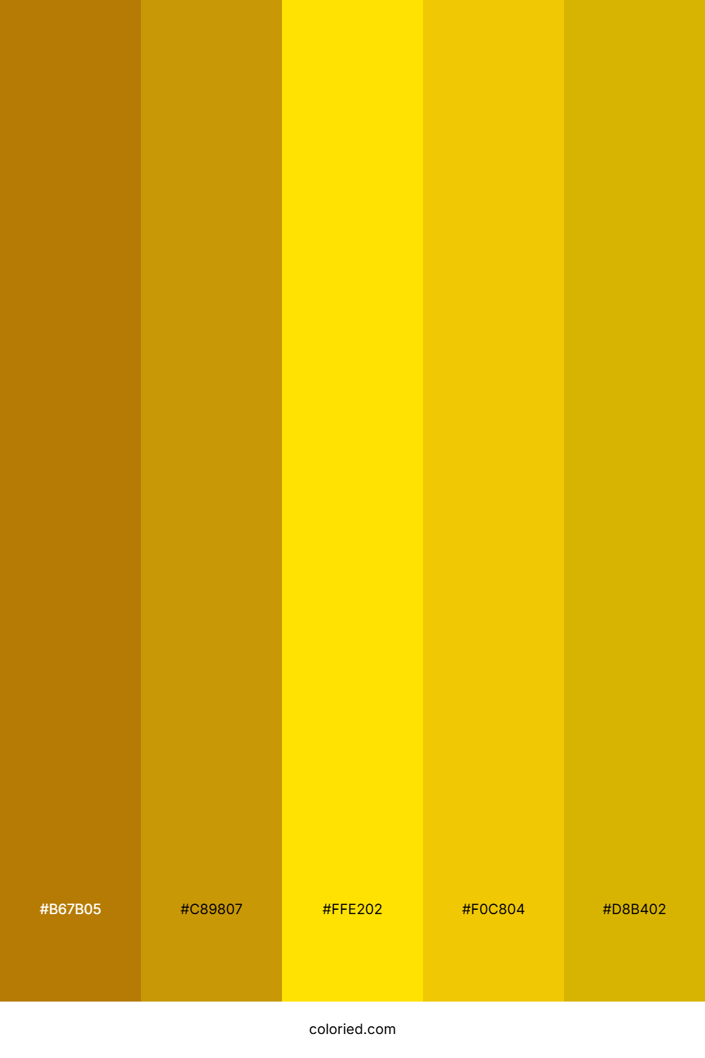 Amber and Gold Color Palette