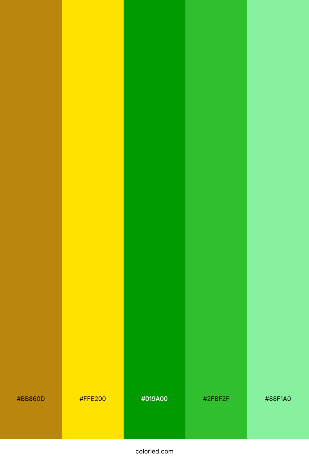 Amber and Green Color Palette