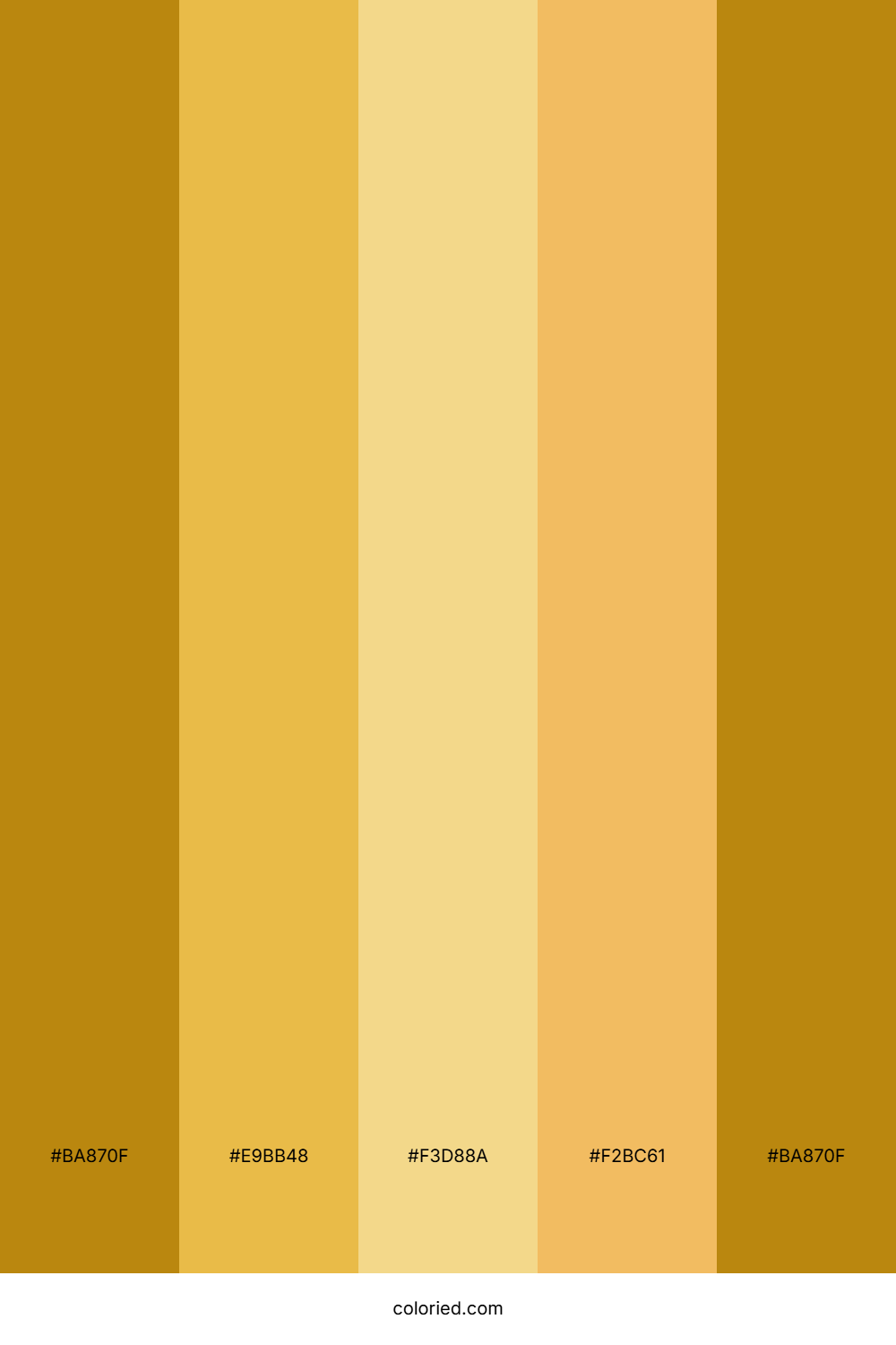 Amber And Honey Color Palette