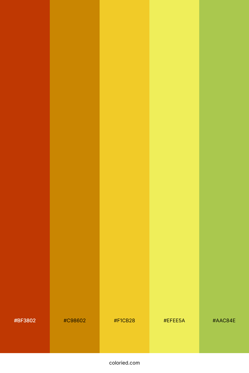 Amber Citrus Meadow Palette