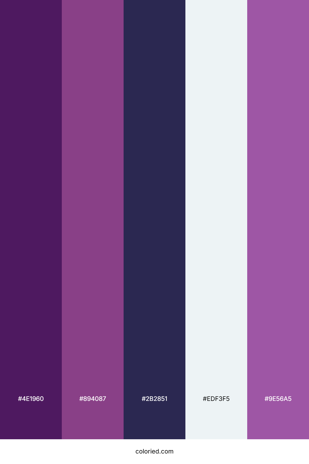 Amethyst Purple and Midnight Violet Color Palette