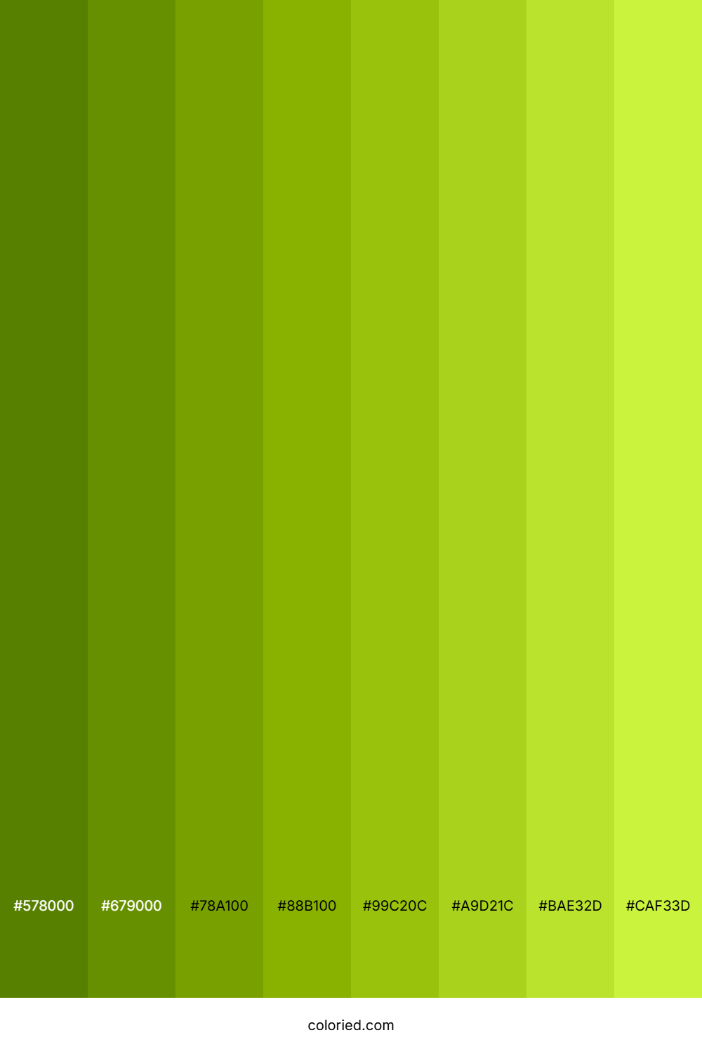 Apple Green Shades