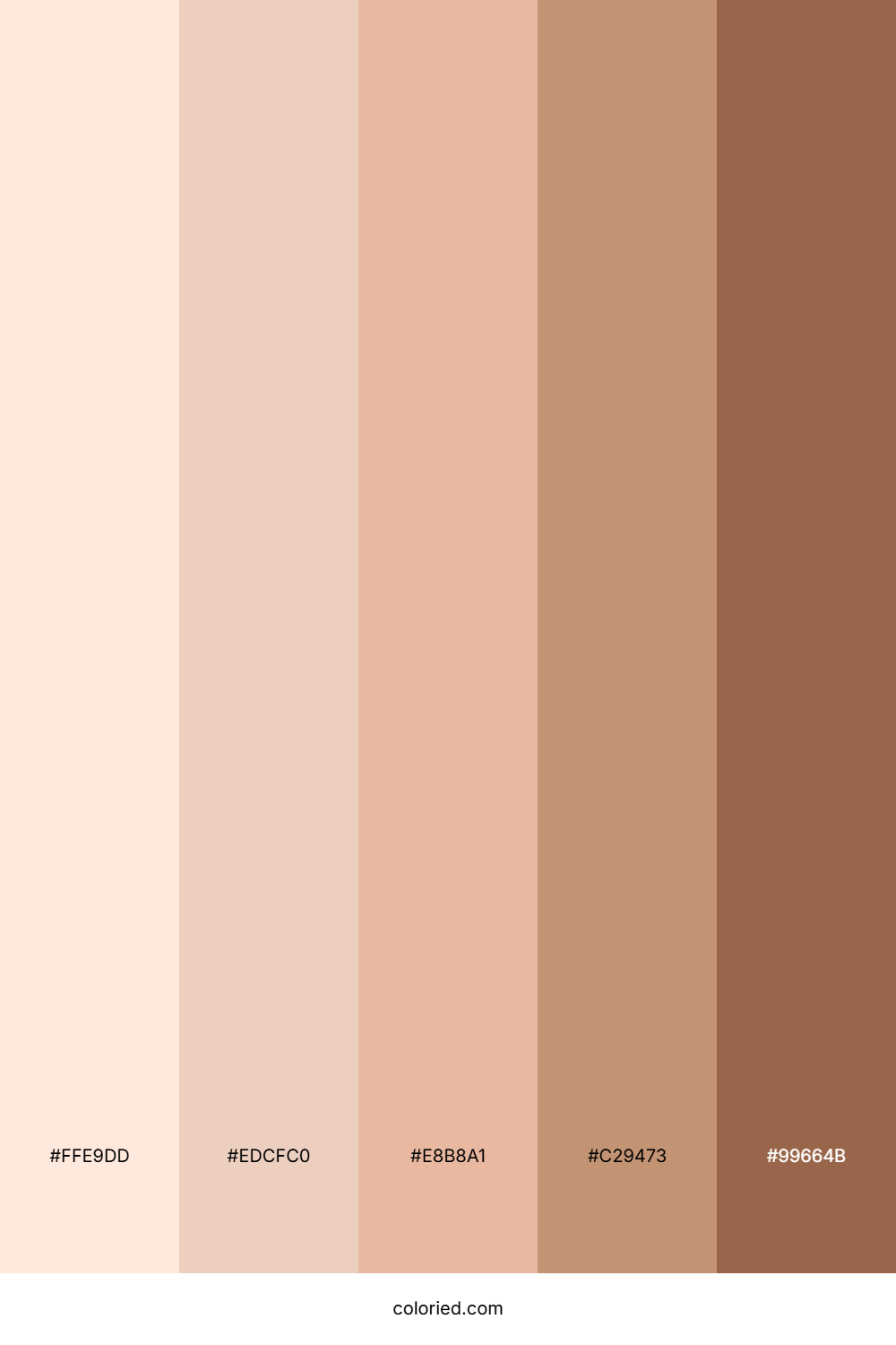 Apricot and Clay Color Palette