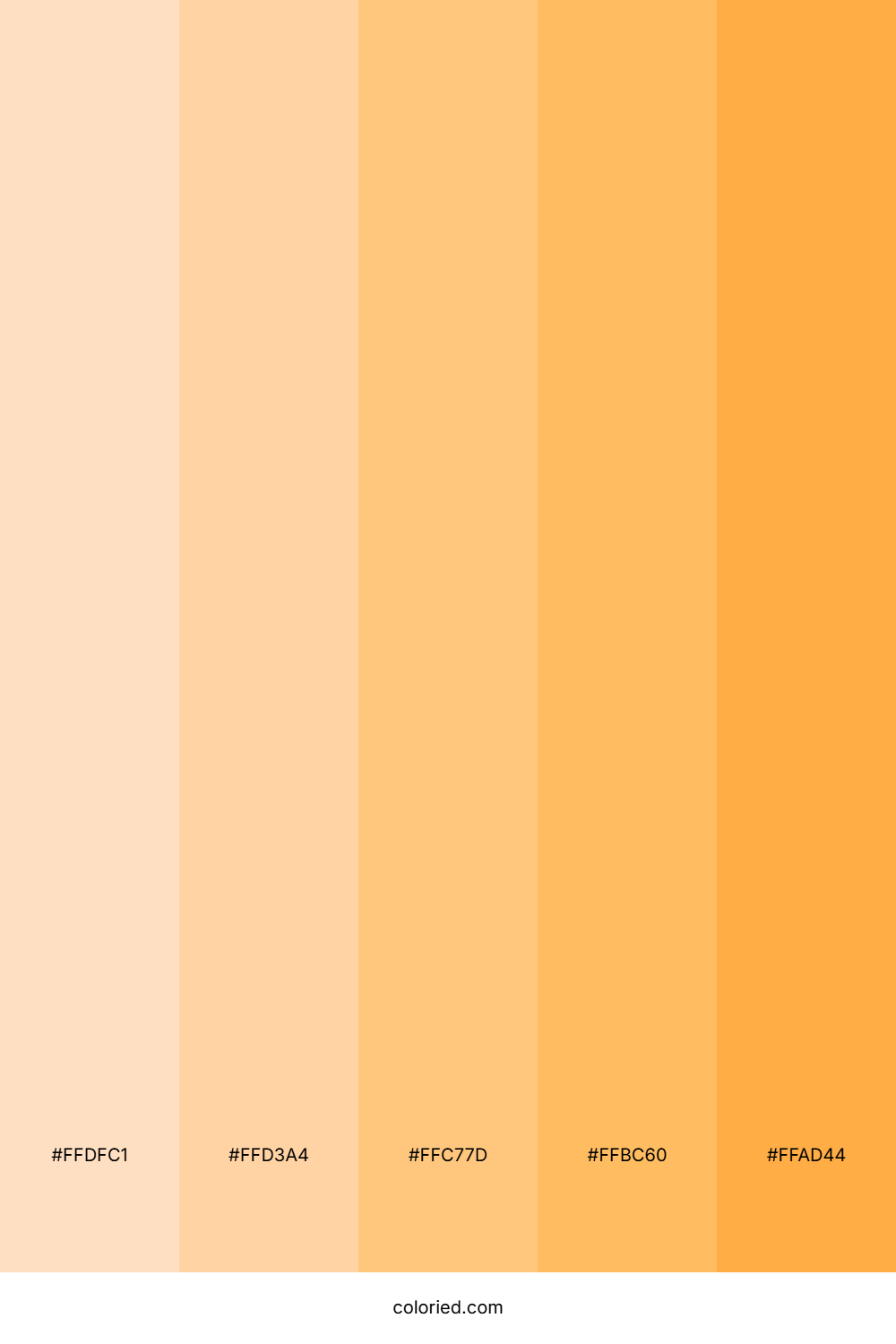 Apricot and Peach Color Palette
