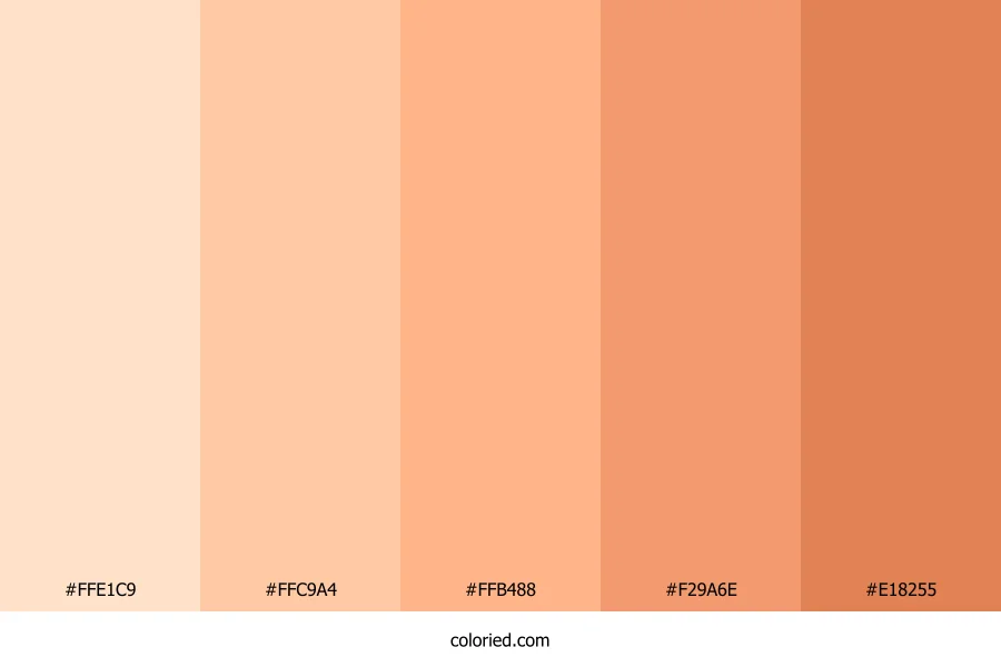 Apricot Color Palette