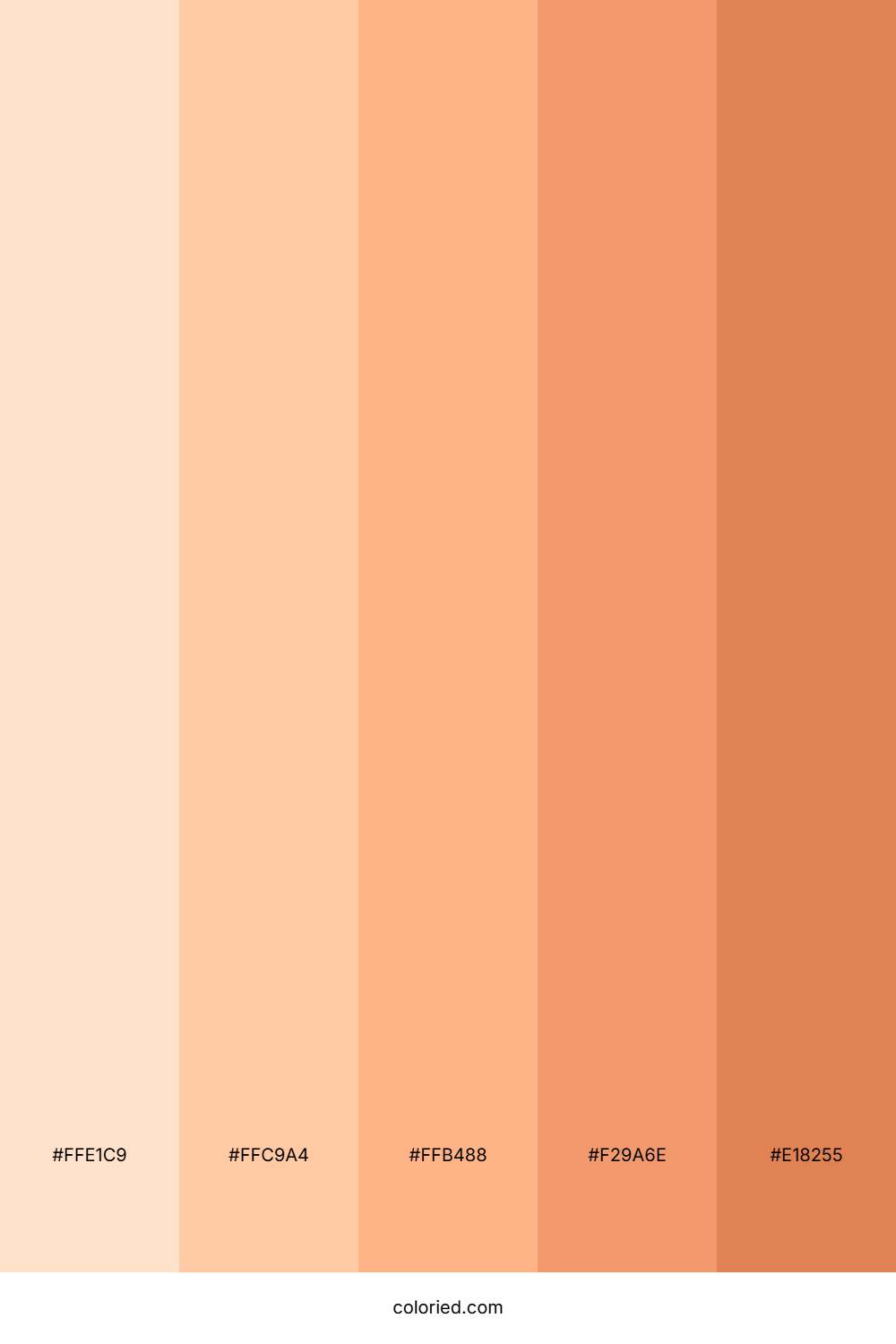Apricot Colors Color Palette