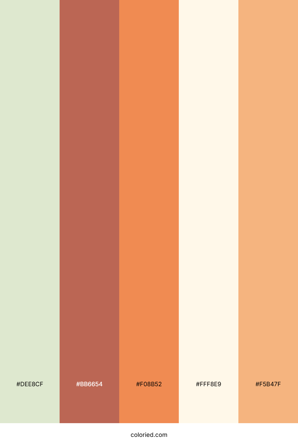 Apricot Glow Color Palette