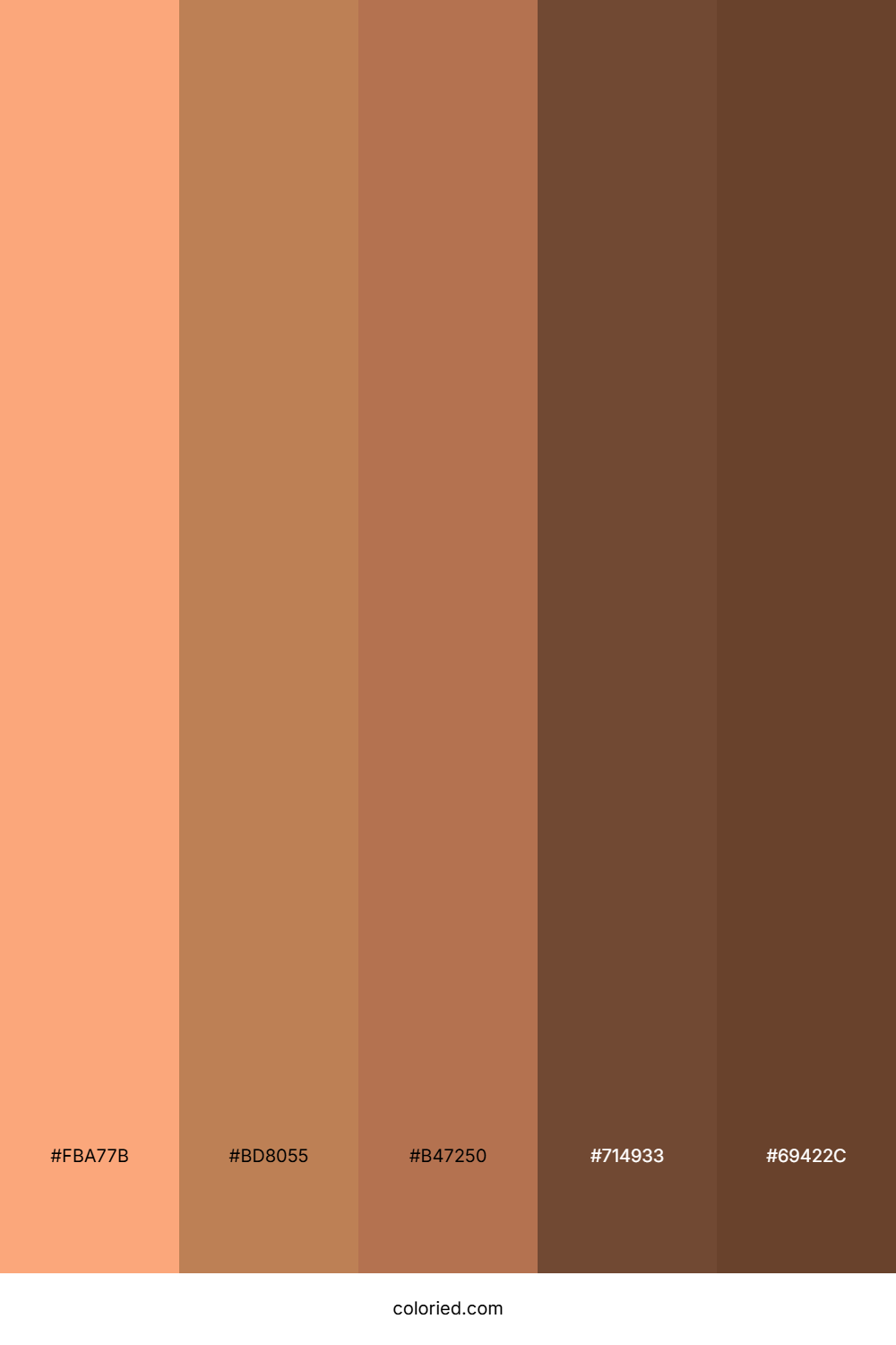 Apricot Orange and Rustic Brown Color Palette