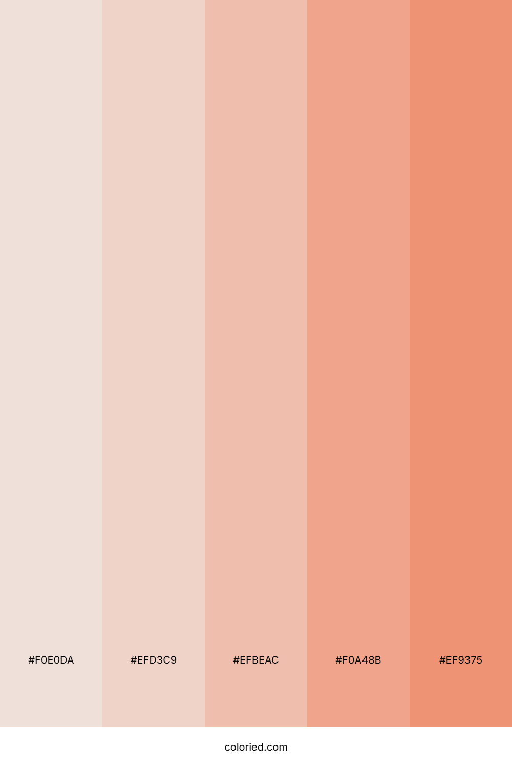 Apricot Peach and Coral Color Palette