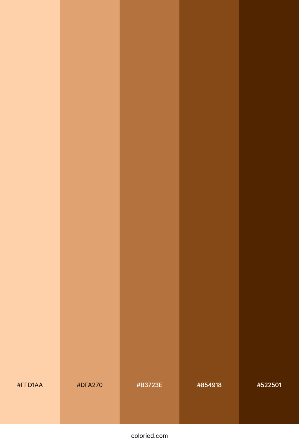 Apricot Tan Bliss Color Palette