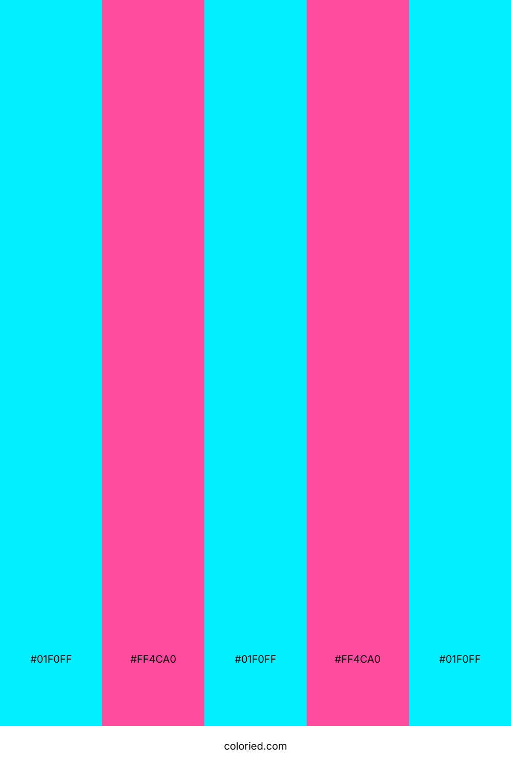 Aqua and Hot Pink Color Palette