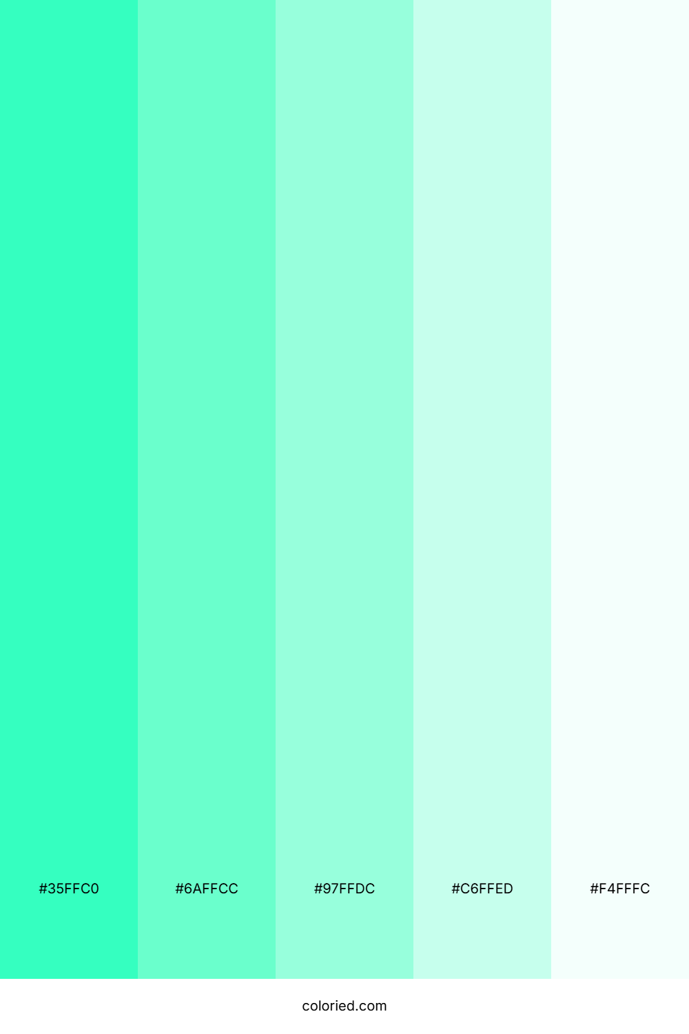 Aqua and Light Teal Color Palette