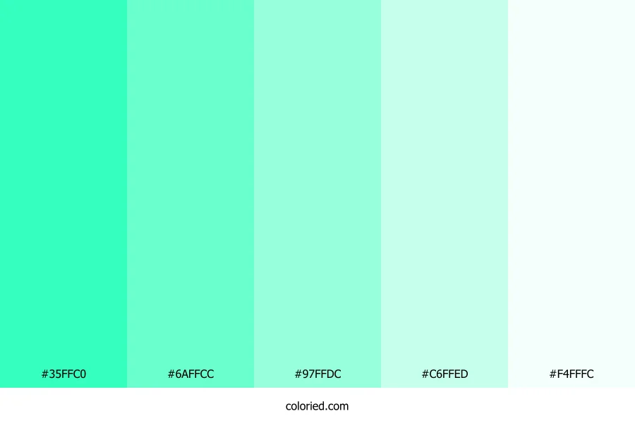 Aqua and Light Teal Color Palette