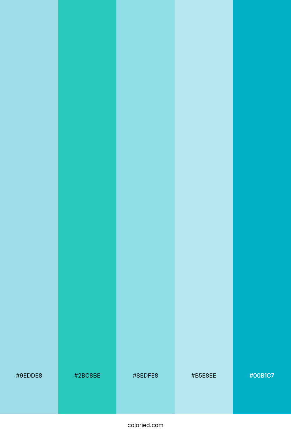Aqua Blue Lagoon Color Palette