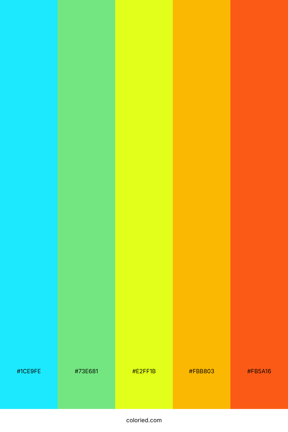 Aqua Citrus Fun Color Palette