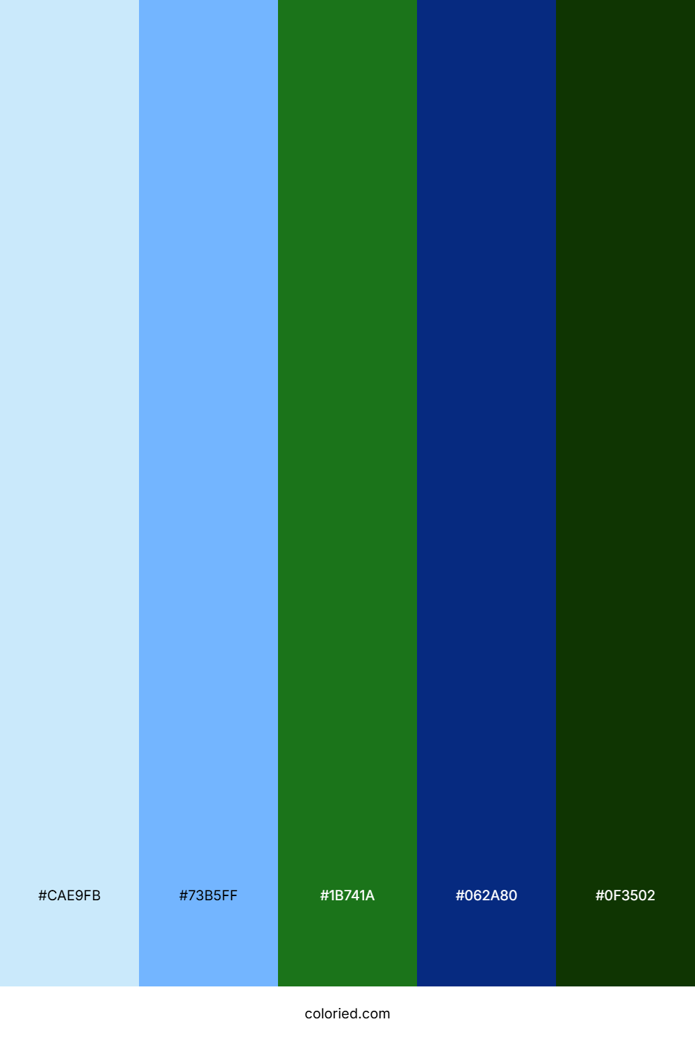 Aqua Coral Glow Color Palette