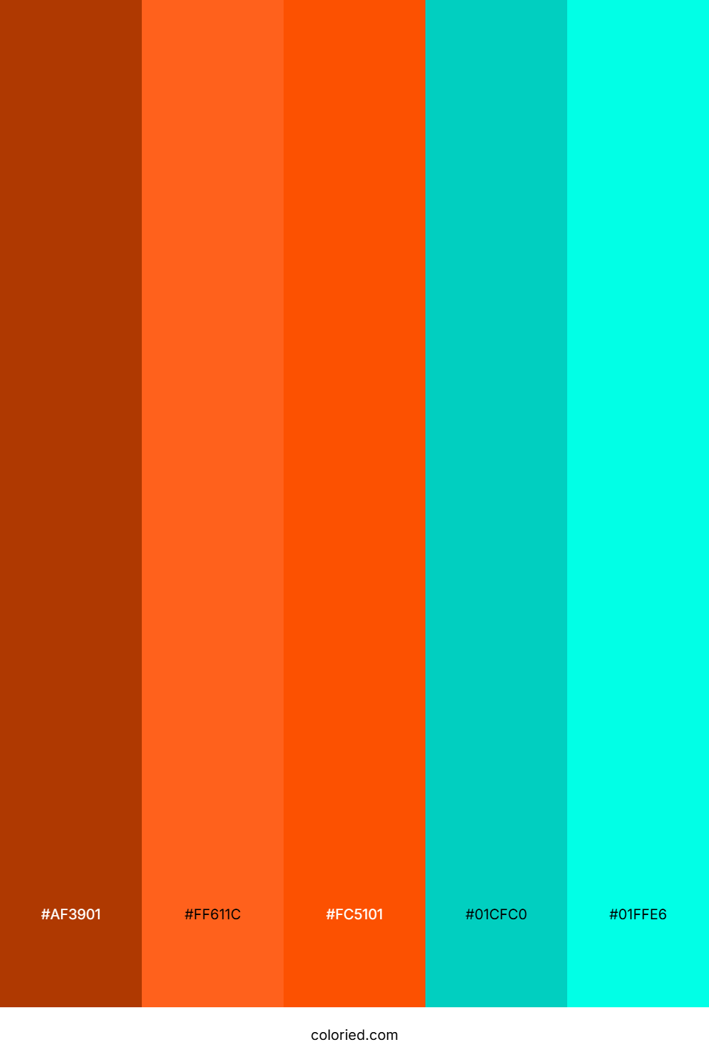 Aqua Ember Drift Color Palette