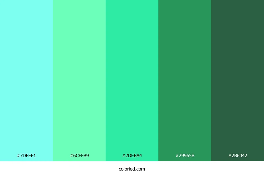 Aqua Fern Oasis Color Palette