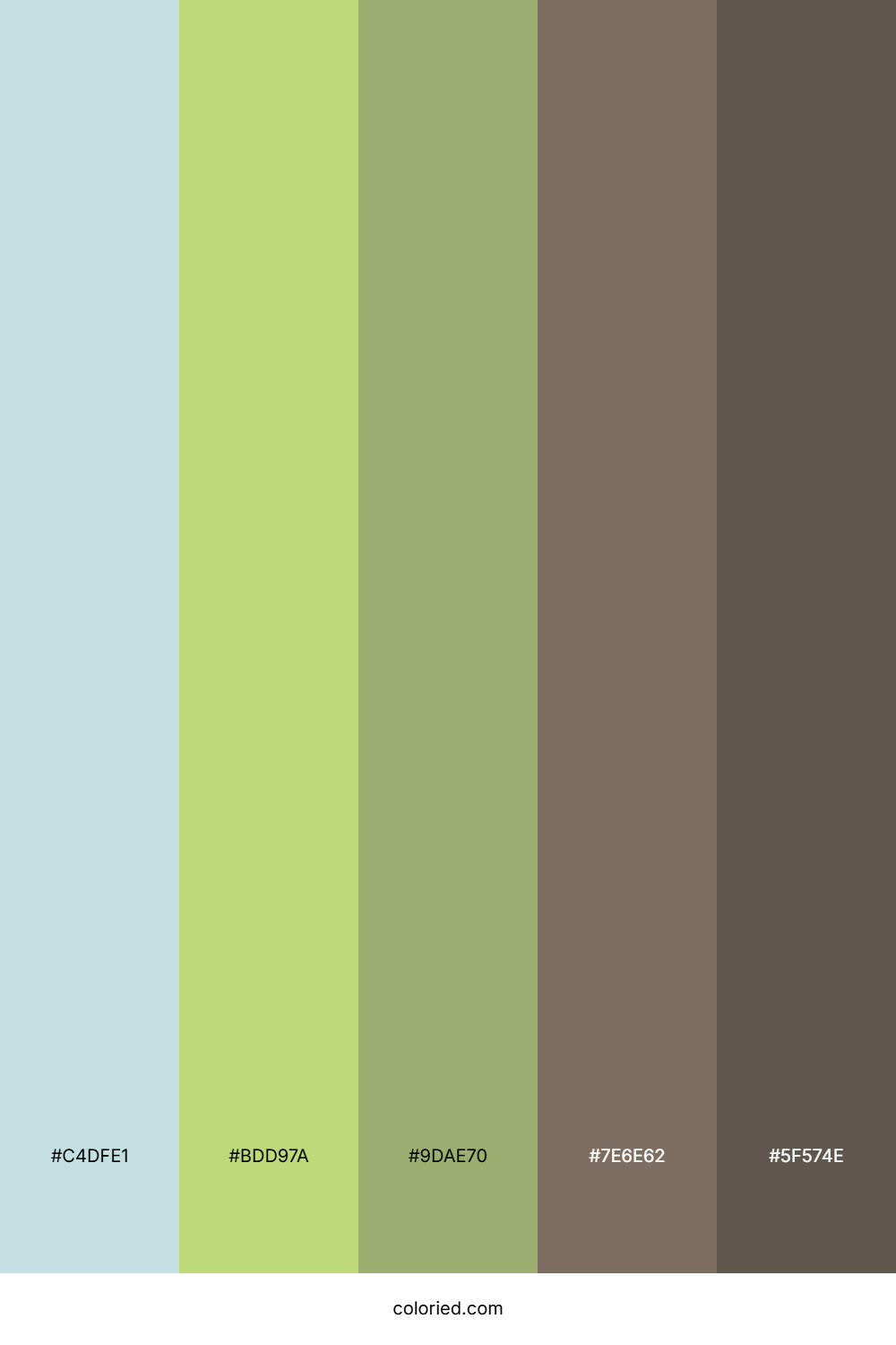 Aqua Leaf Trail Color Palette