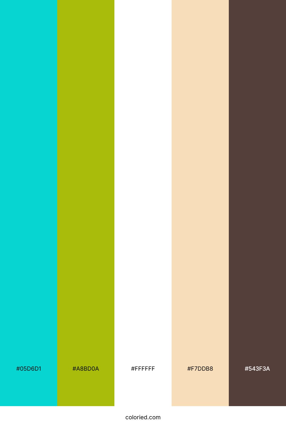 Aqua Lime Sand Color Palette