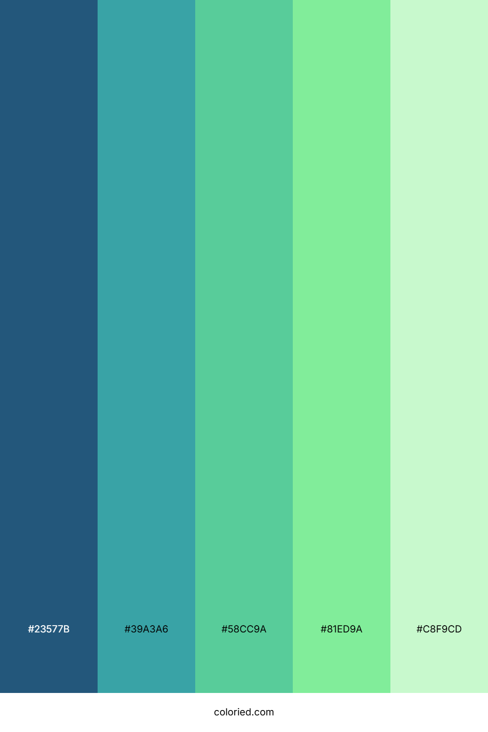 Aqua Mint Forest Palette