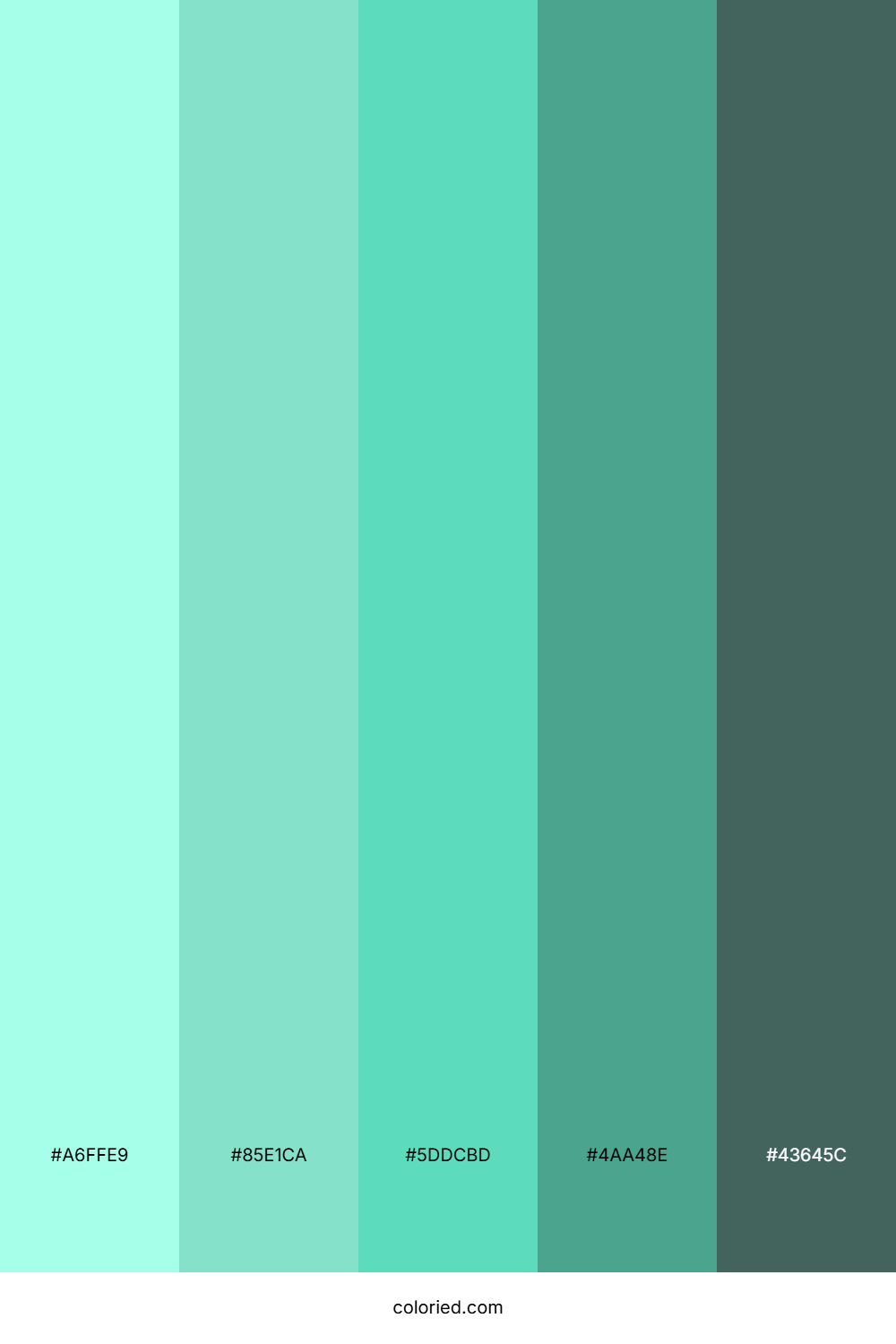 Aqua Mint Meadow Palette