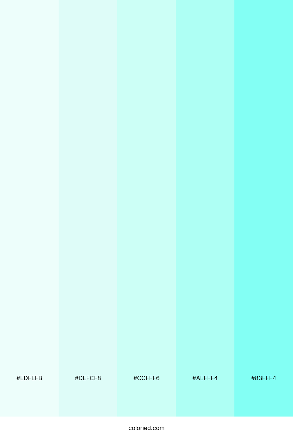 Aqua Mist and Sky Color Palette