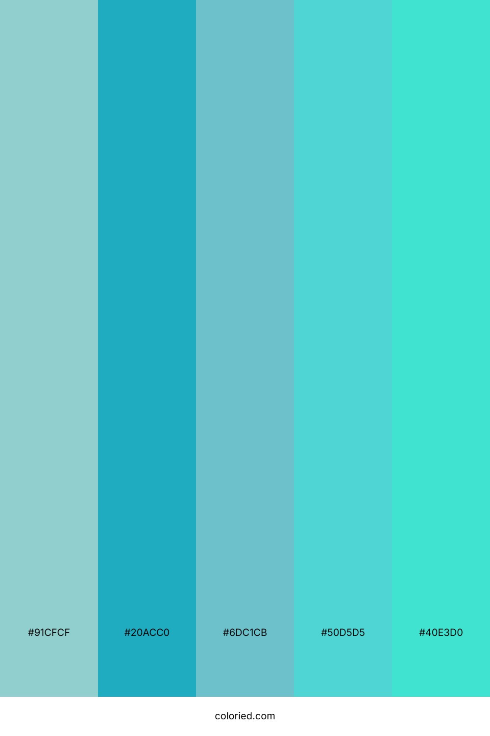 Aqua Mist and Teal Color Palette