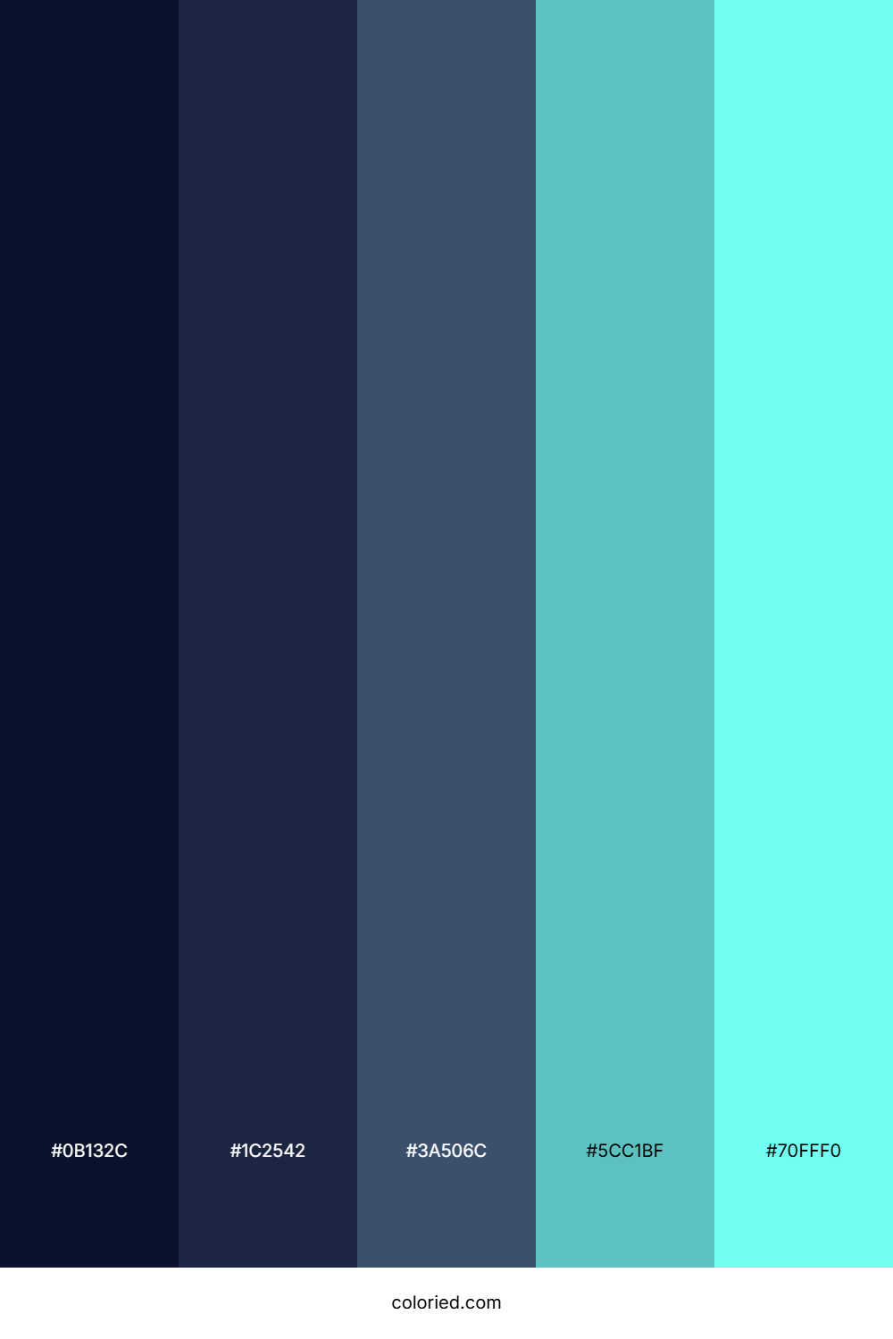 Aqua Starfield Glow Color Palette