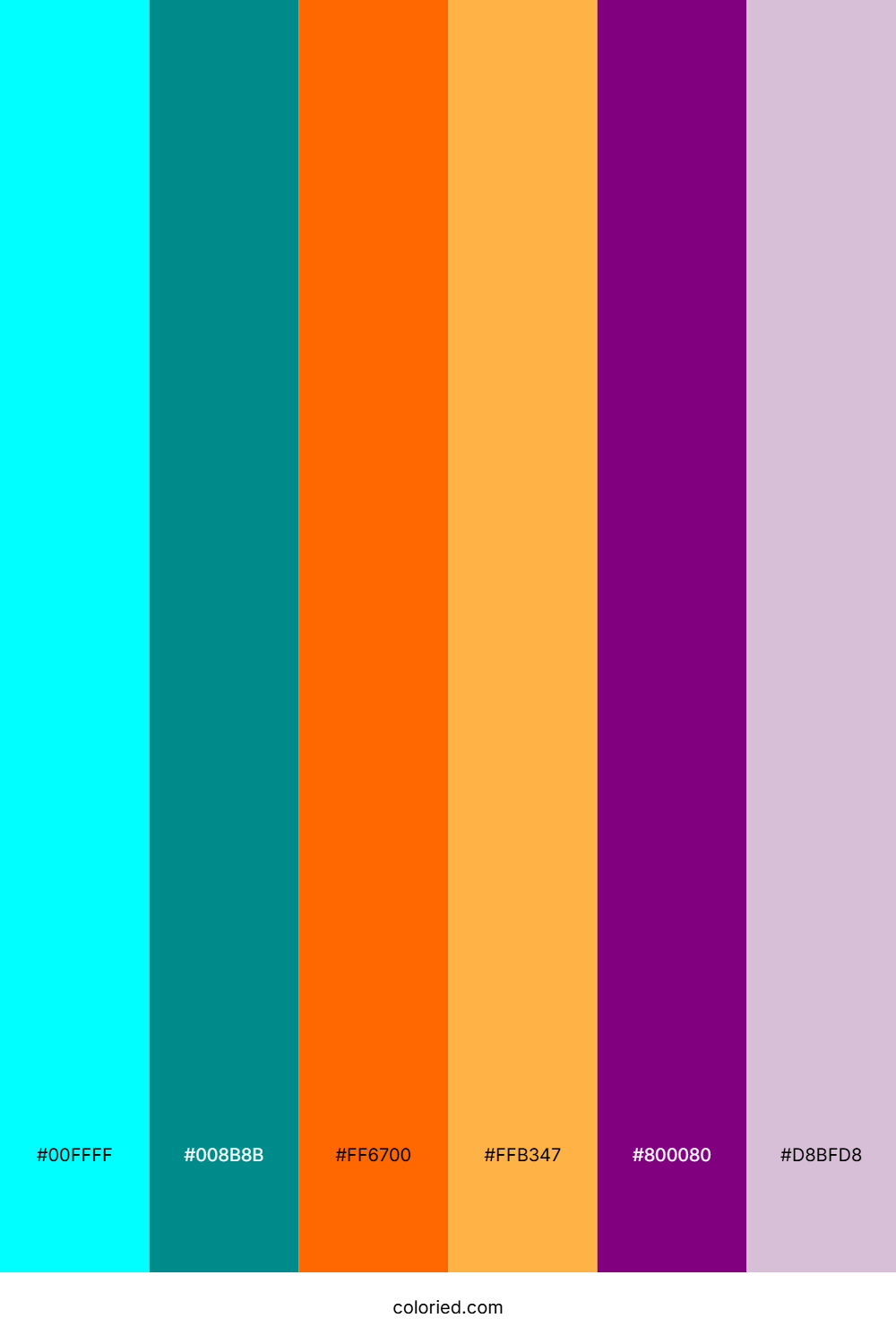 Aqua Tangerine Violet Color Palette