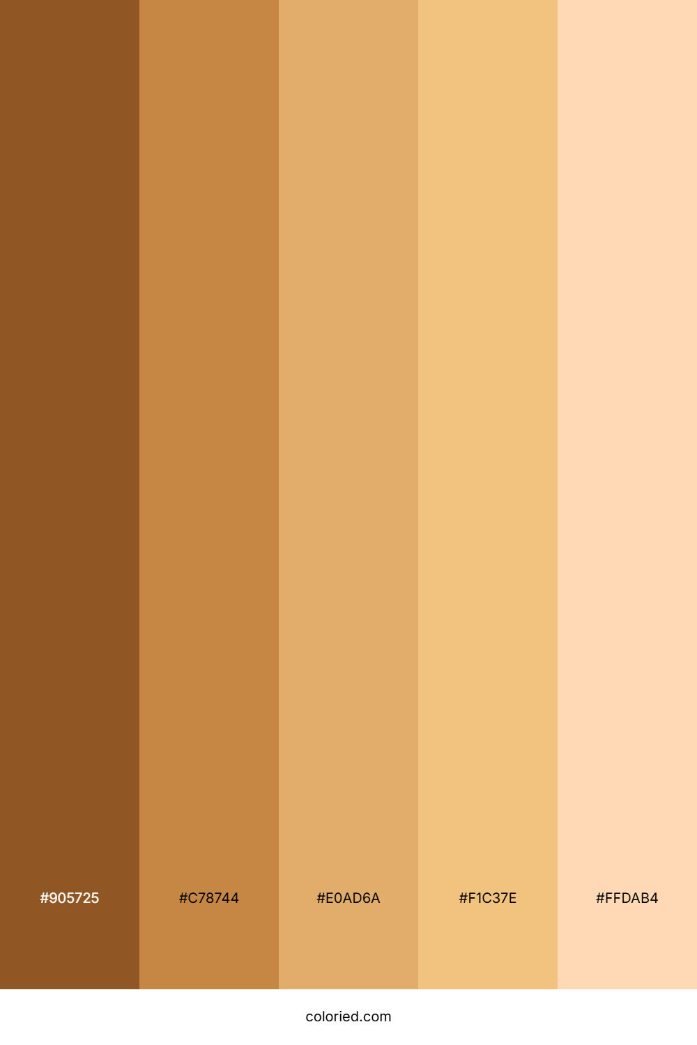 Arabian Skin Color Palette