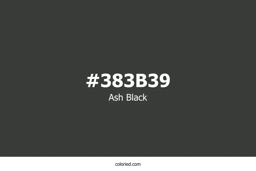 Ash Black Color