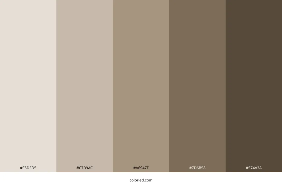 Ash Brown Color Palette