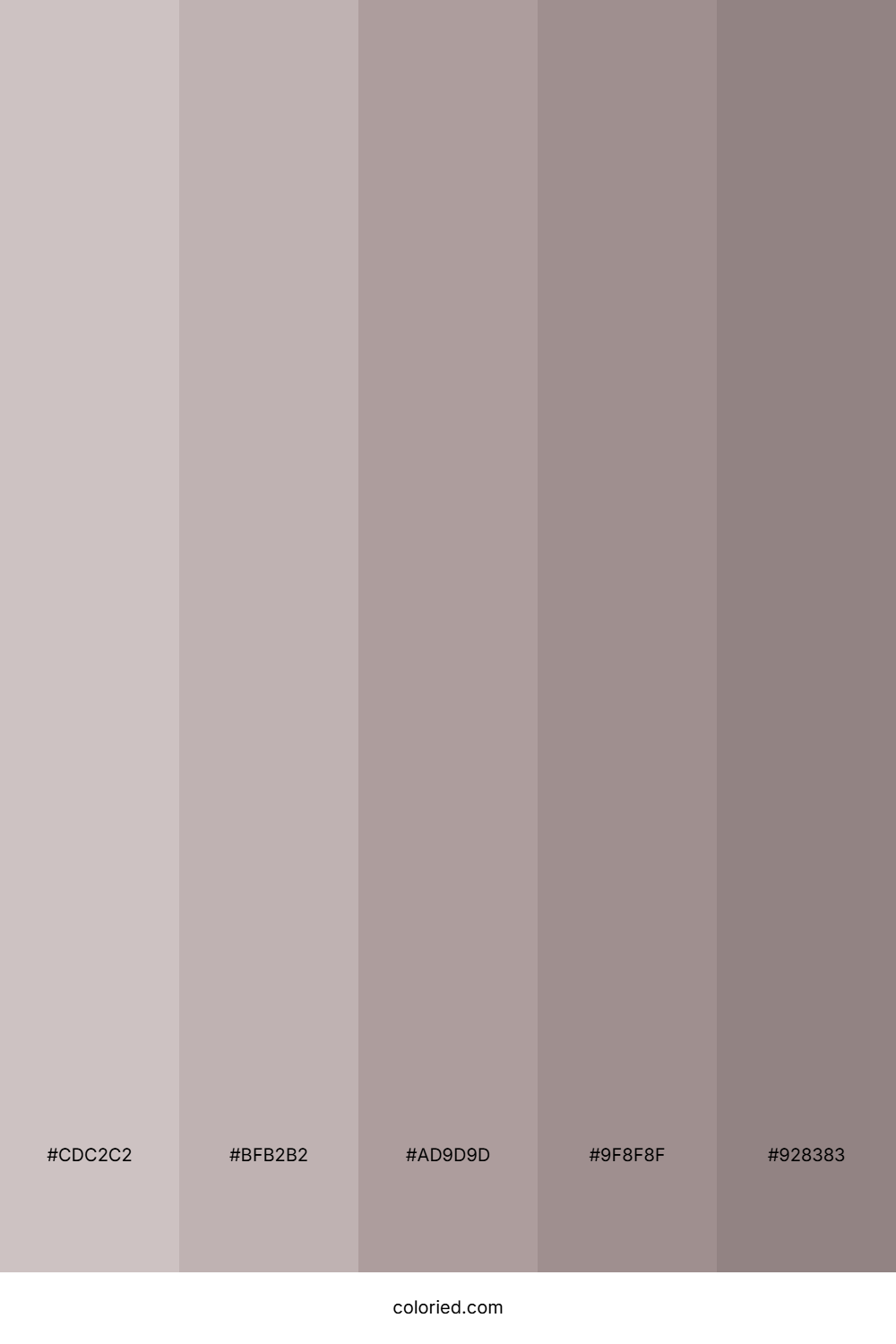 Ash Gray and Dark Gray Color Palette