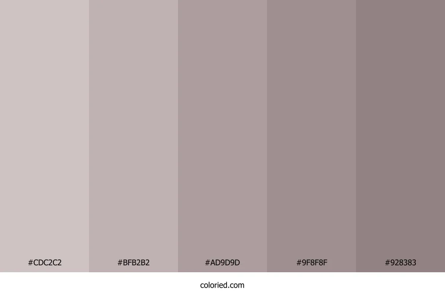 Ash Gray and Dark Gray Color Palette
