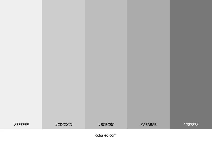 Ash Gray and Silver Color Palette