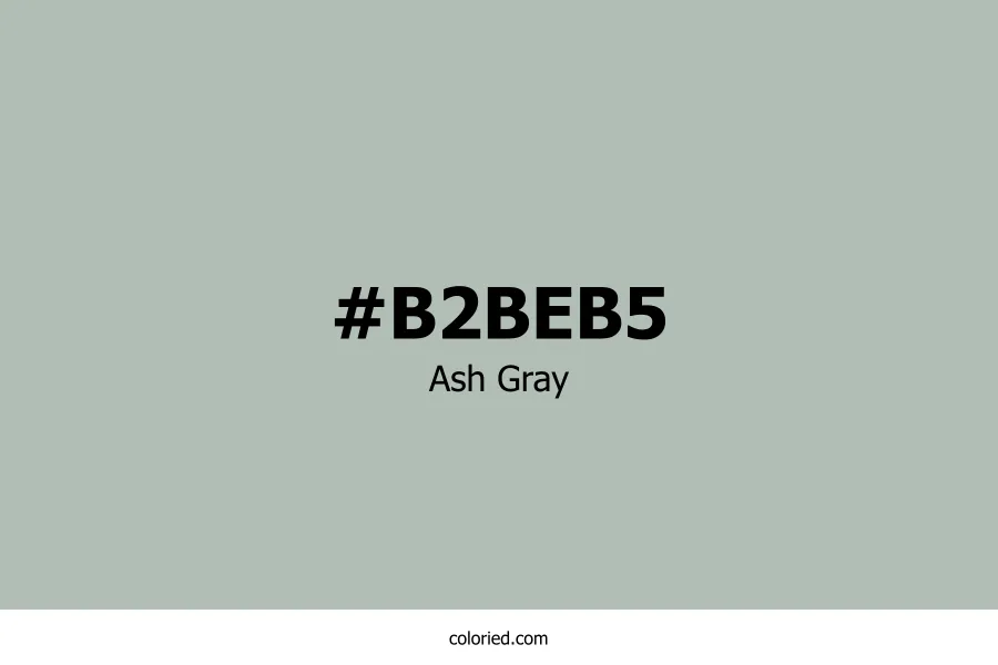 Ash Gray Color